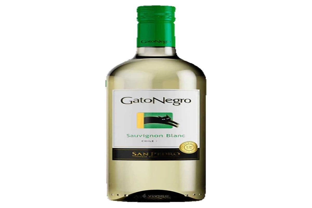 Gato Negro Sauvignon Blanc (1 x 1500ML)