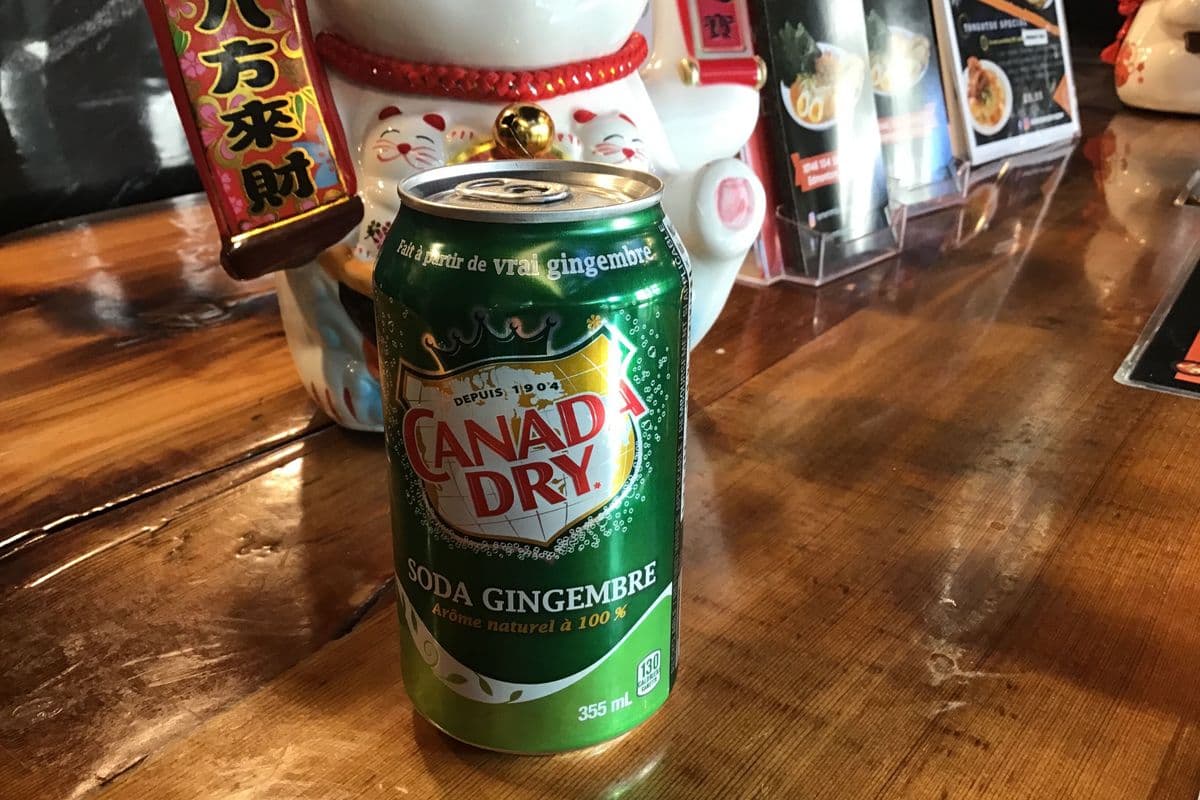 Ginger Ale (355ml)