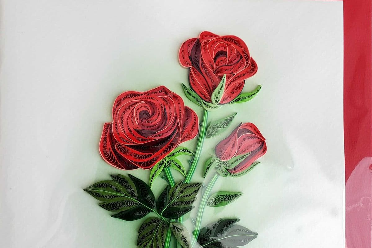 Premium red roses card