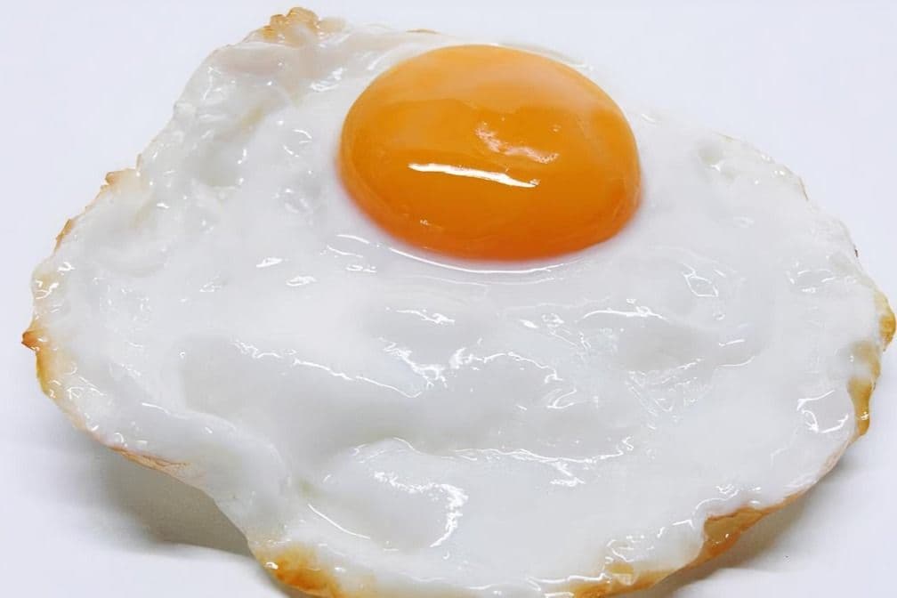 Extras - Oeuf / Egg