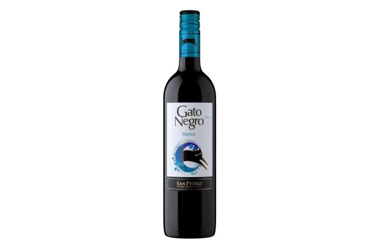 Gato Negro Merlot 750 ML (1 x 750 ML)