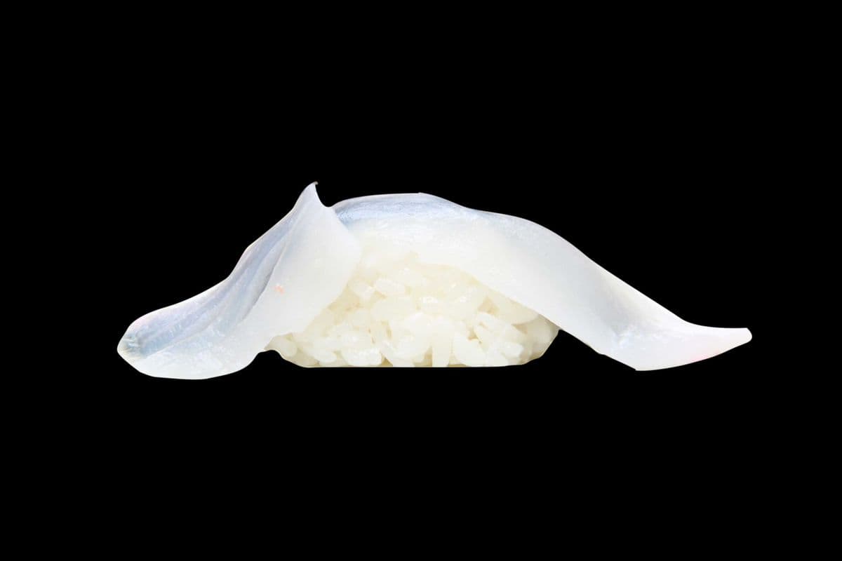 Ika Nigiri Sushi