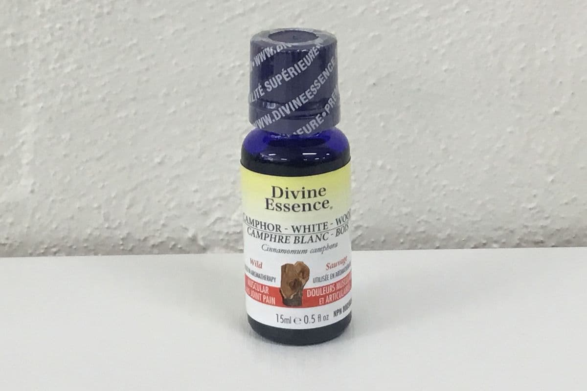 Camphor (White Wood) Essential Oil (15 ml)