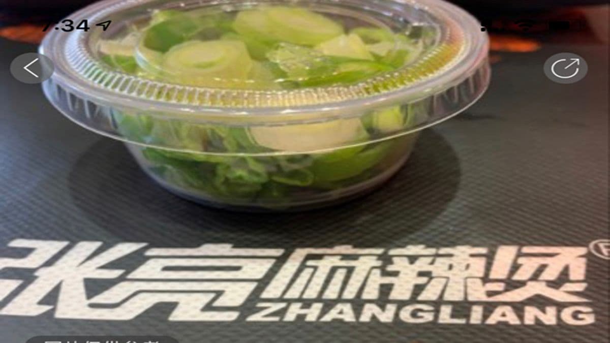 B 8. Green Onion 小葱