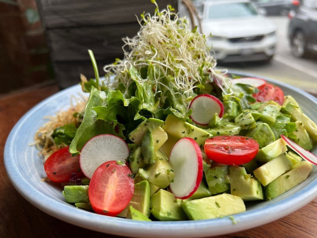 Avocado Salad