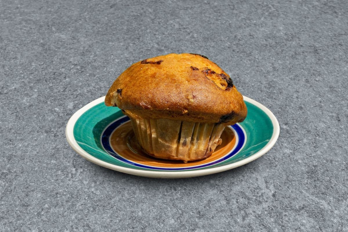 Cranberry and Blueberry Muffins