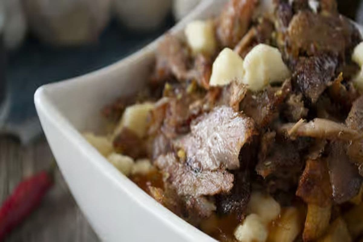 Poutine gyro