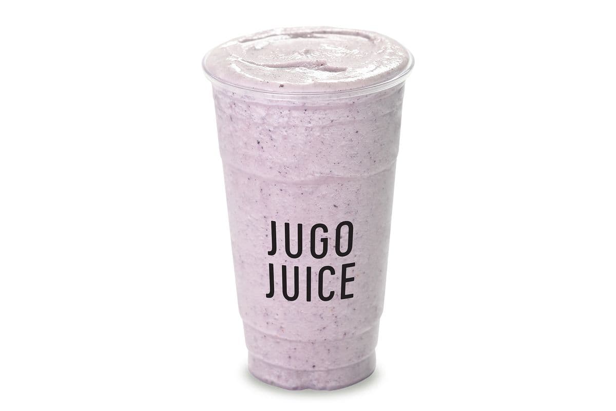 Big Blueberry Protein (24 oz)