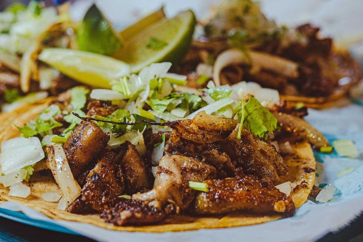 TACO TRIPA