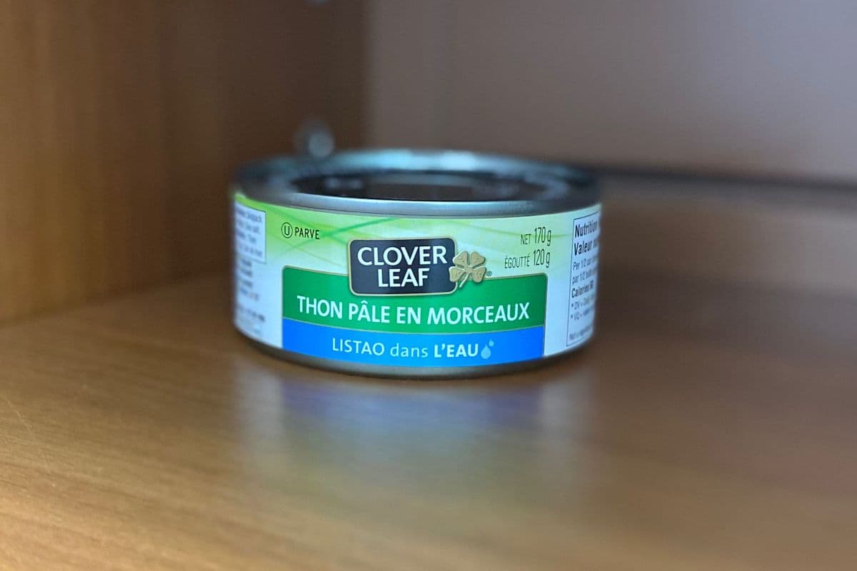 CloverLeaf thon pale en morceaux/chunk light tuna (170g)