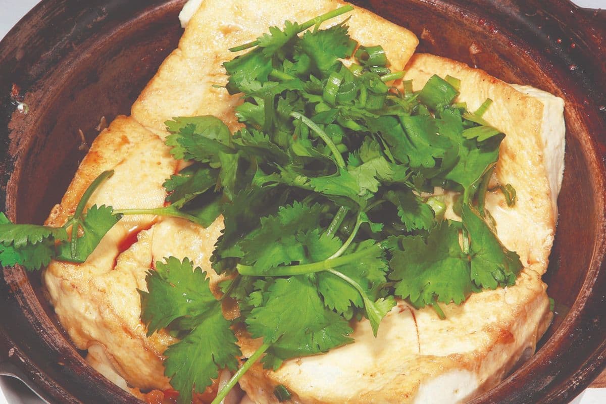 Braised Tofu in Oyster Sauce