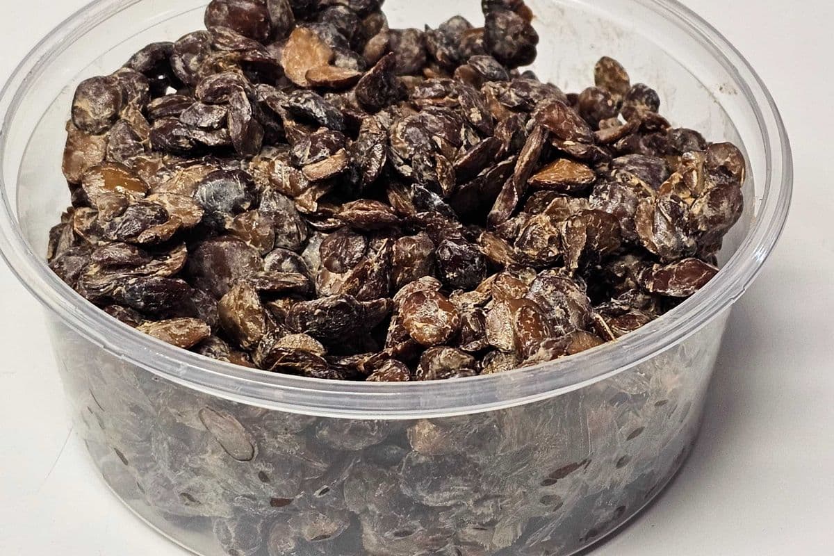 Fresh Iru Woro (Locust Beans) (200 g)