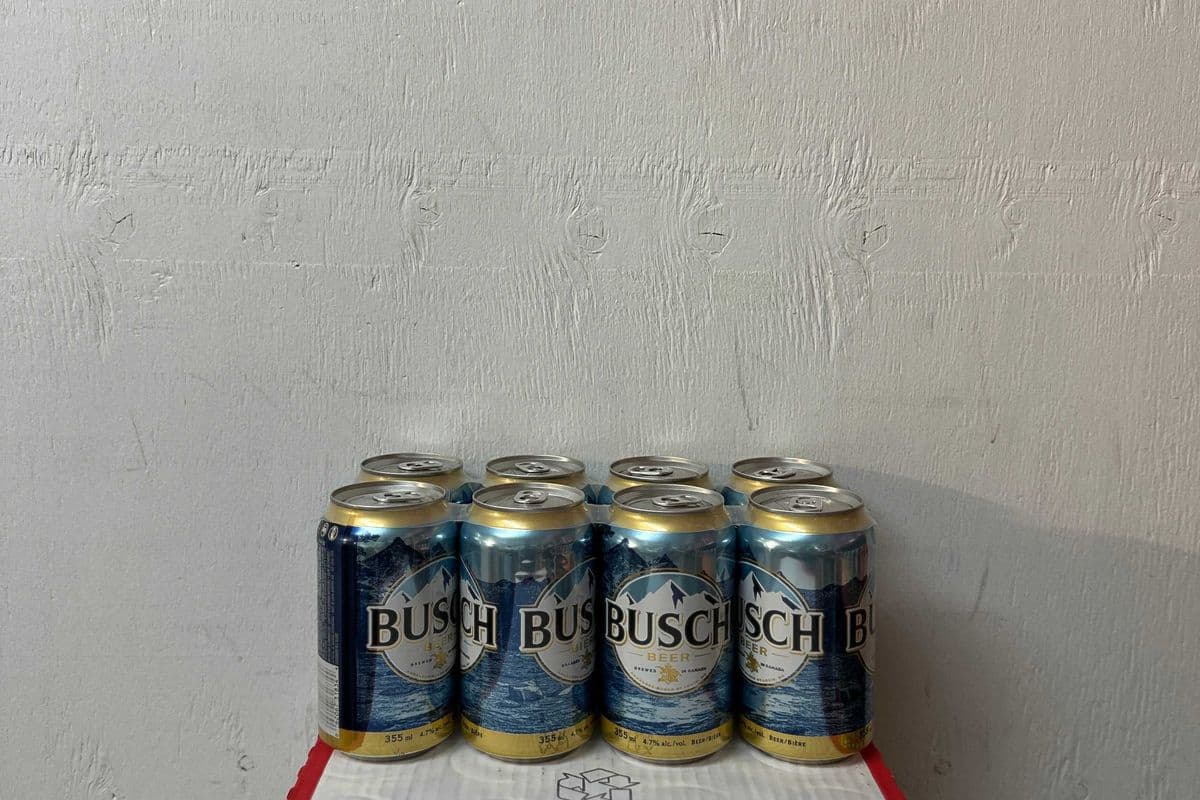 Busch (8 Pack) (1 x 8 PK)