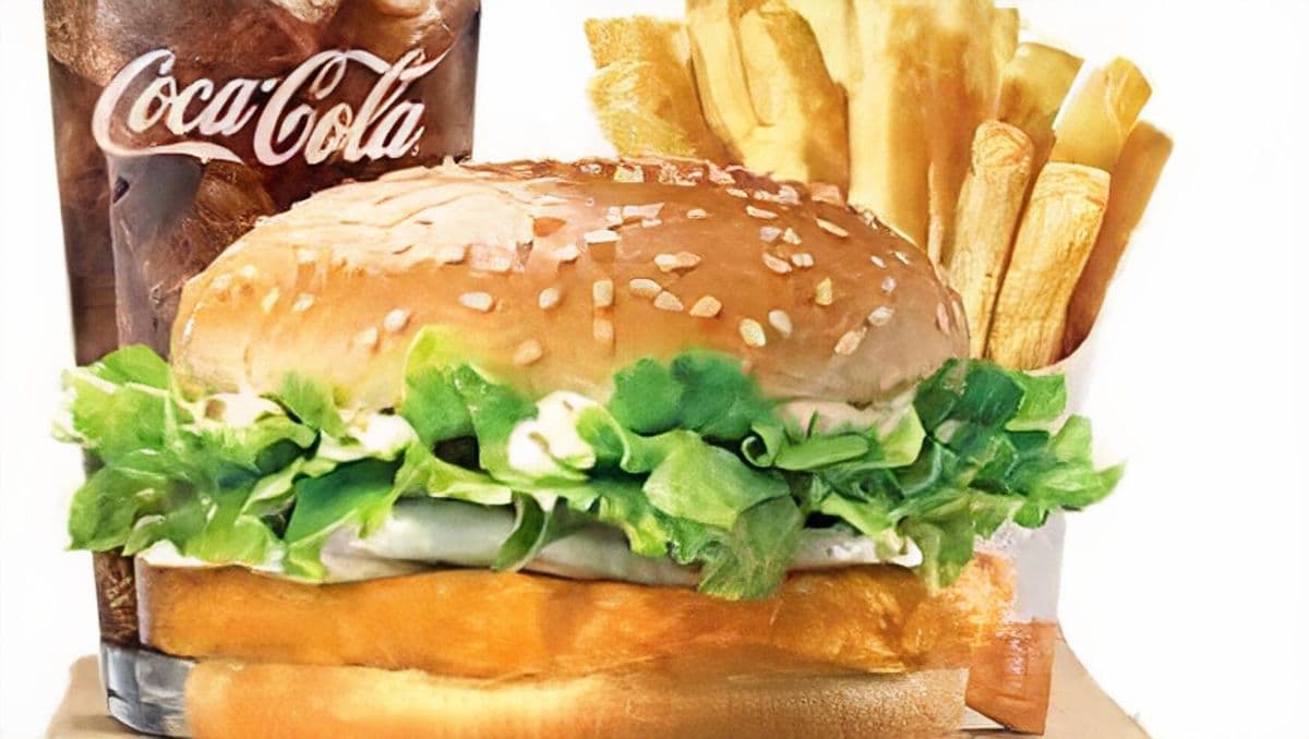 Chicken Burger Combo