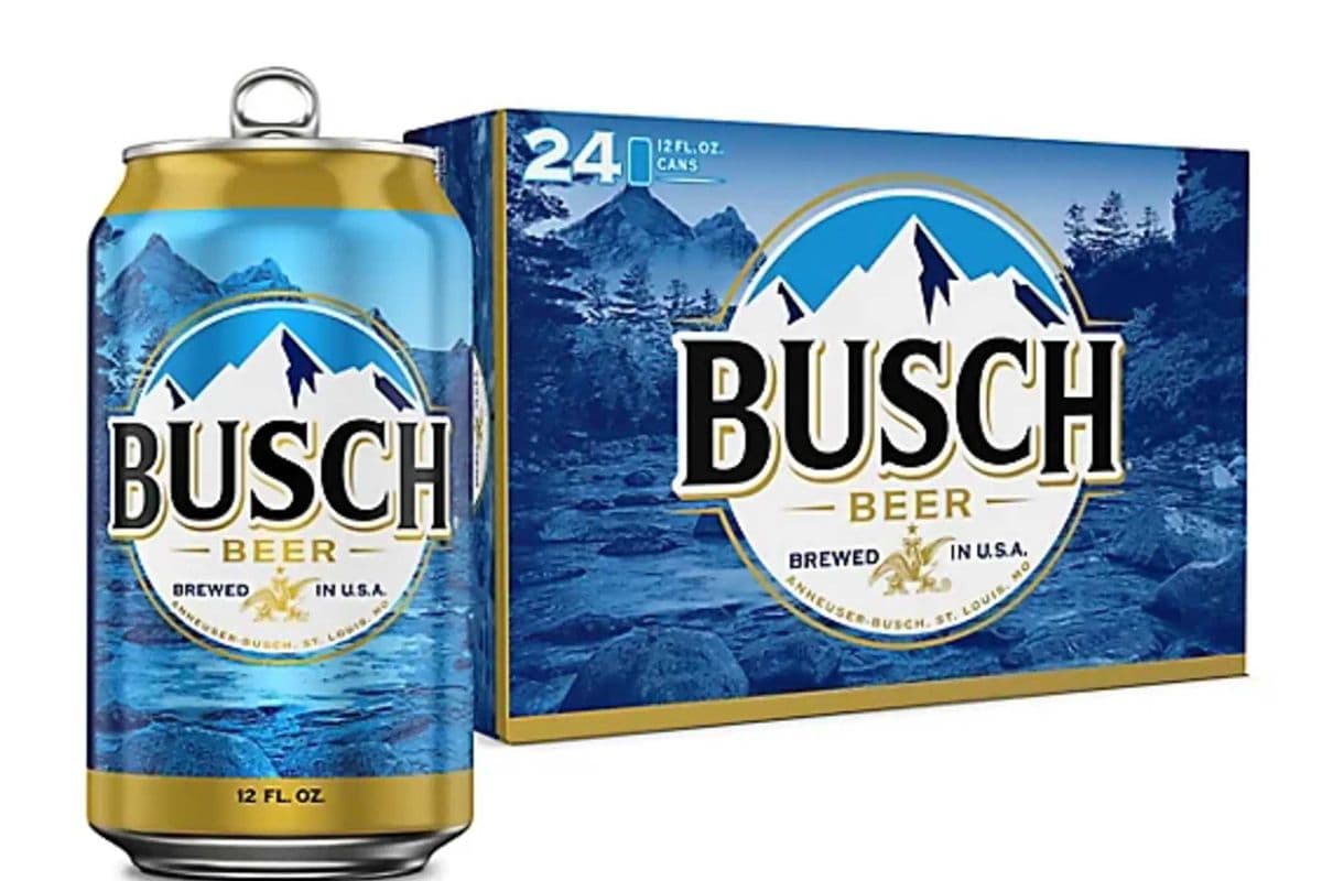 BUSCH 24 PACK (1 X 24*355ML) (1 x 355ML)