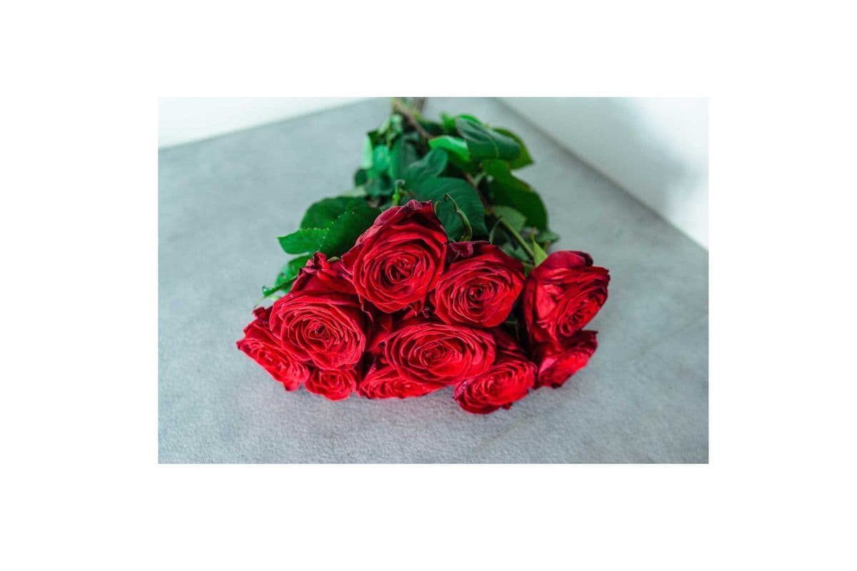 18 Hand-Tied Red Roses