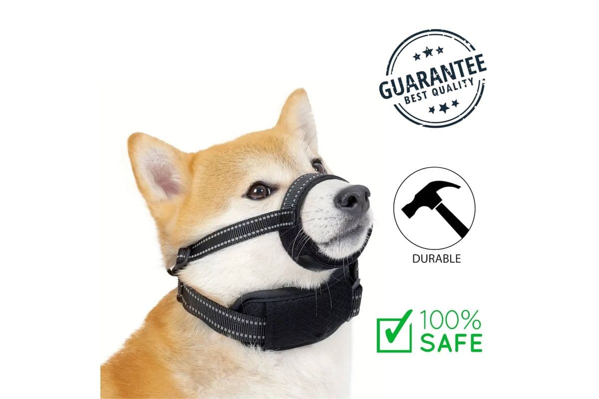 Ashario Pets Reflective Safety Muzzle With Collar Medium