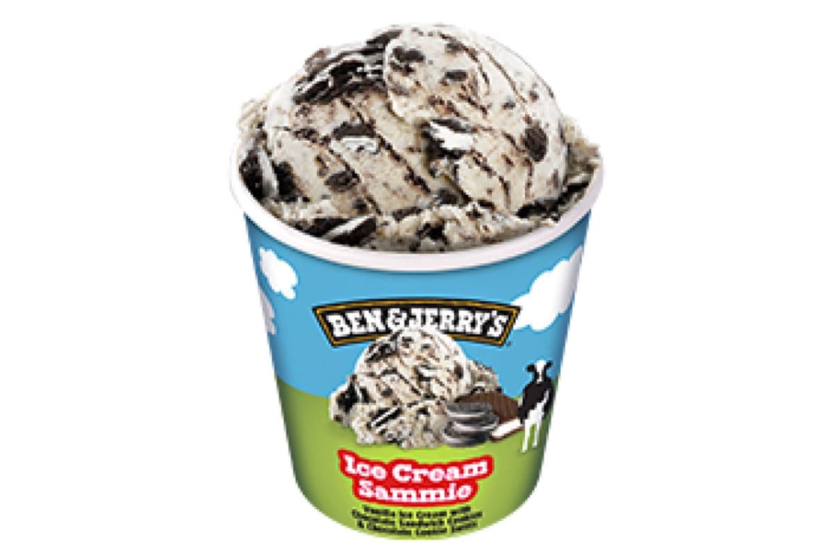 Ben & Jerry's Ice Cream Sammie (473 ml)