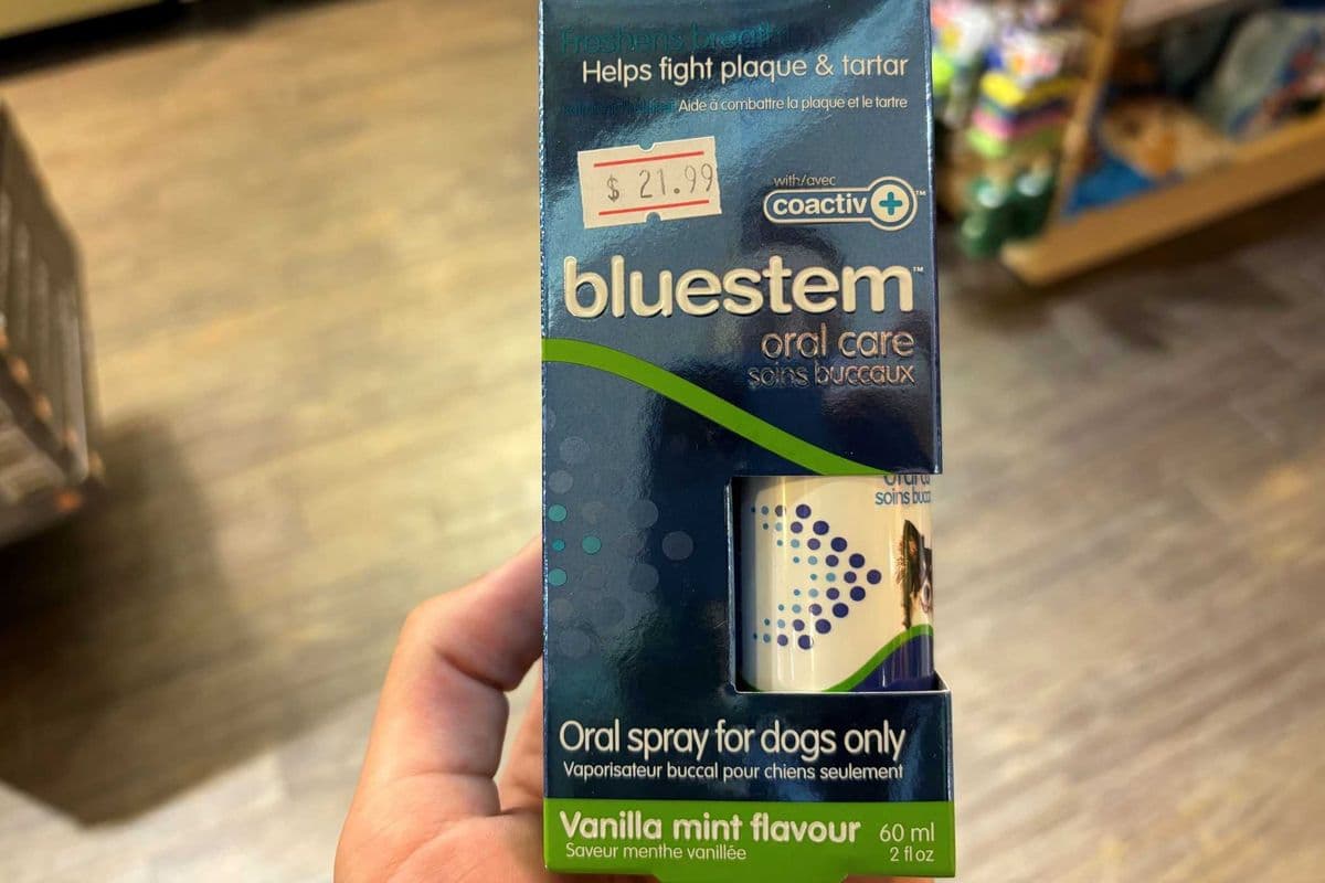 BLUESTEM SPRAY VANILLA MINT (60ml)