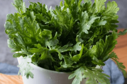 Watercress