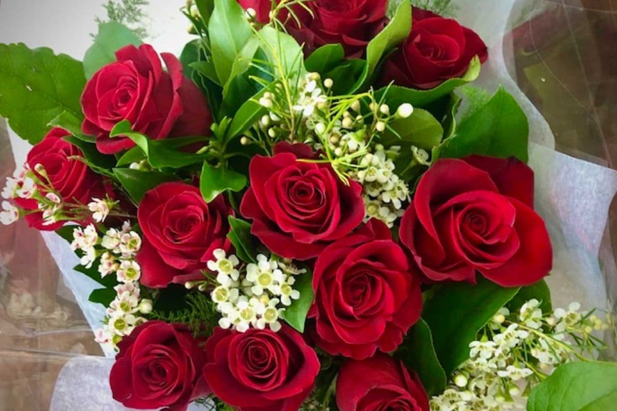 Twelve Red Roses Wrapped