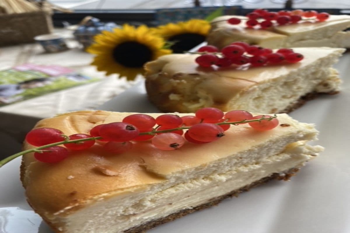 Cheesecake