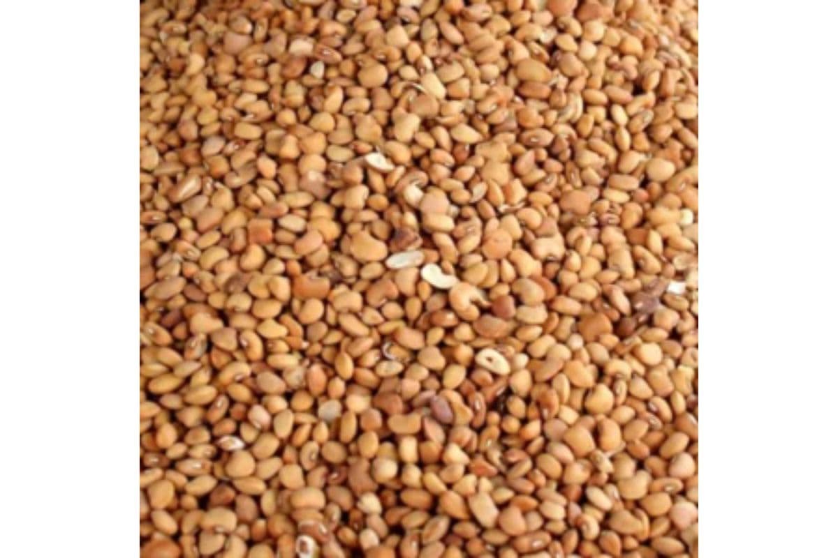 Olo Beans (2.5 kg)