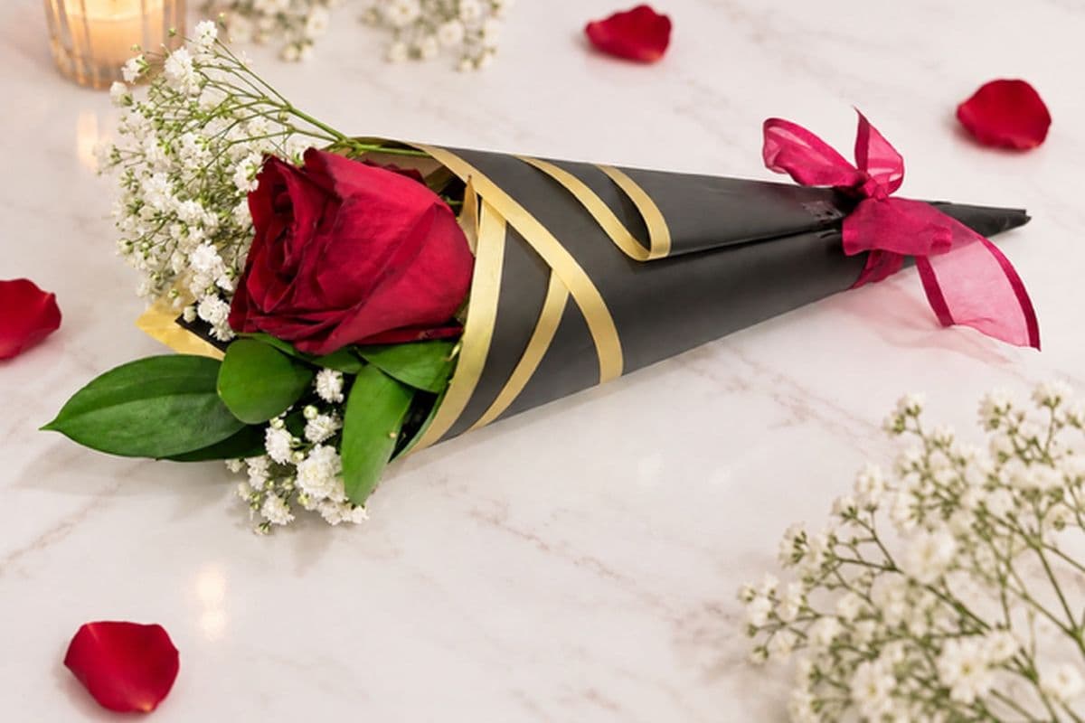 The Classic Rose