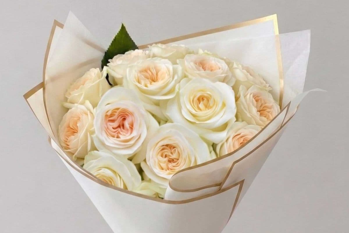 Premium Dozen Roses Special - Cream