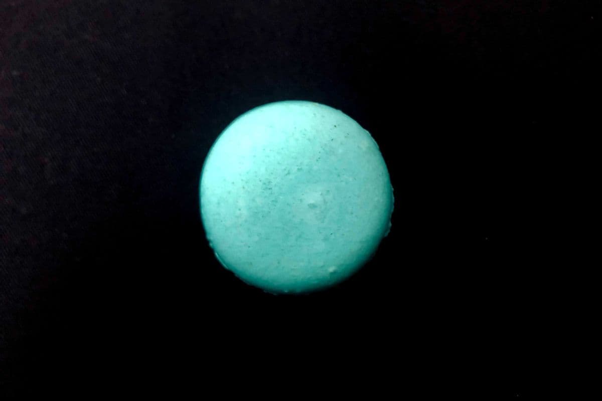 Mint Chocolate Macaron