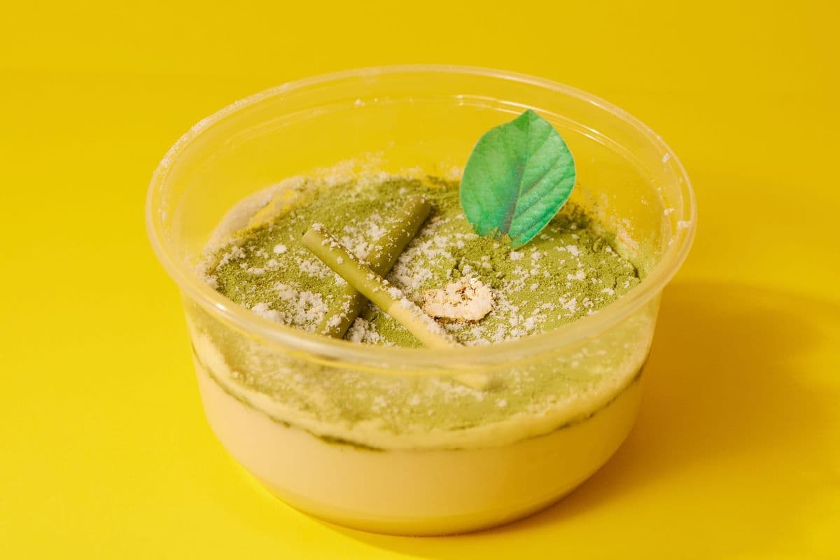 Mini Matcha Coco 迷你夏日抹茶椰子冻