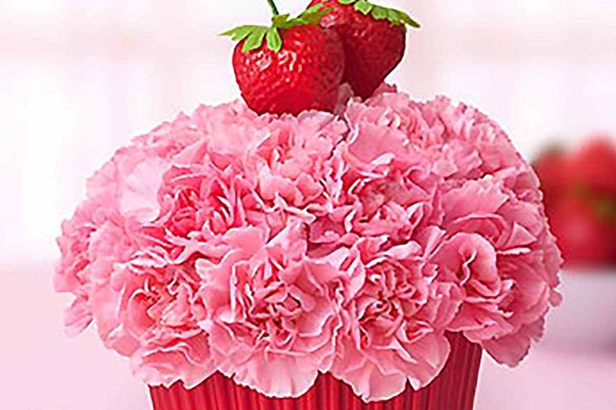 Spring Large Strawberry - Cupcake