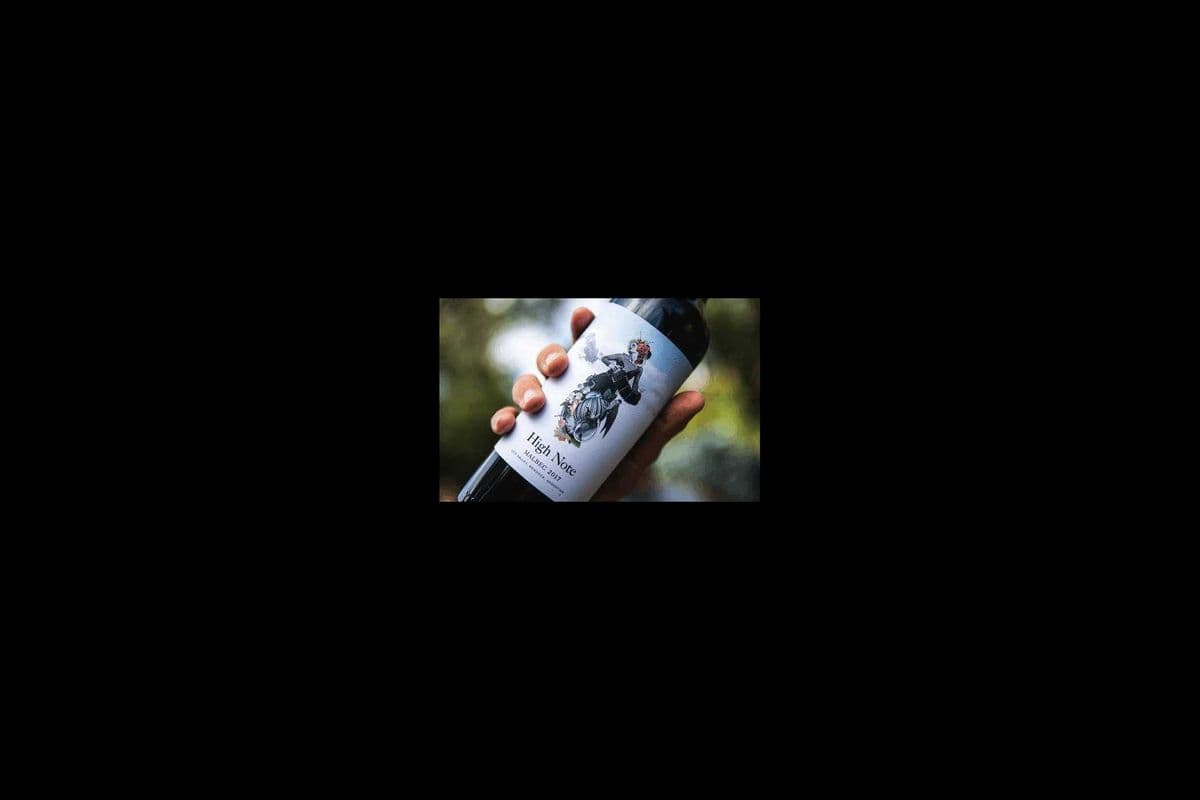 HIGH NOTE MALBEC - 750ML (1 x 750ML)