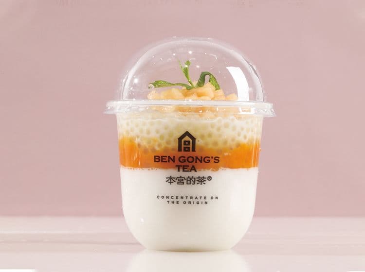 Mango Pudding / 芒小萌