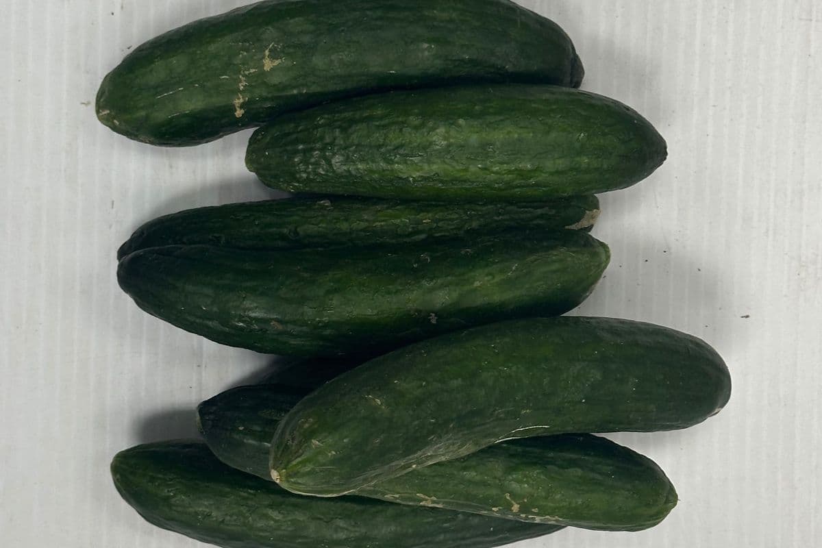 Loose Cucumbers (1 LB)
