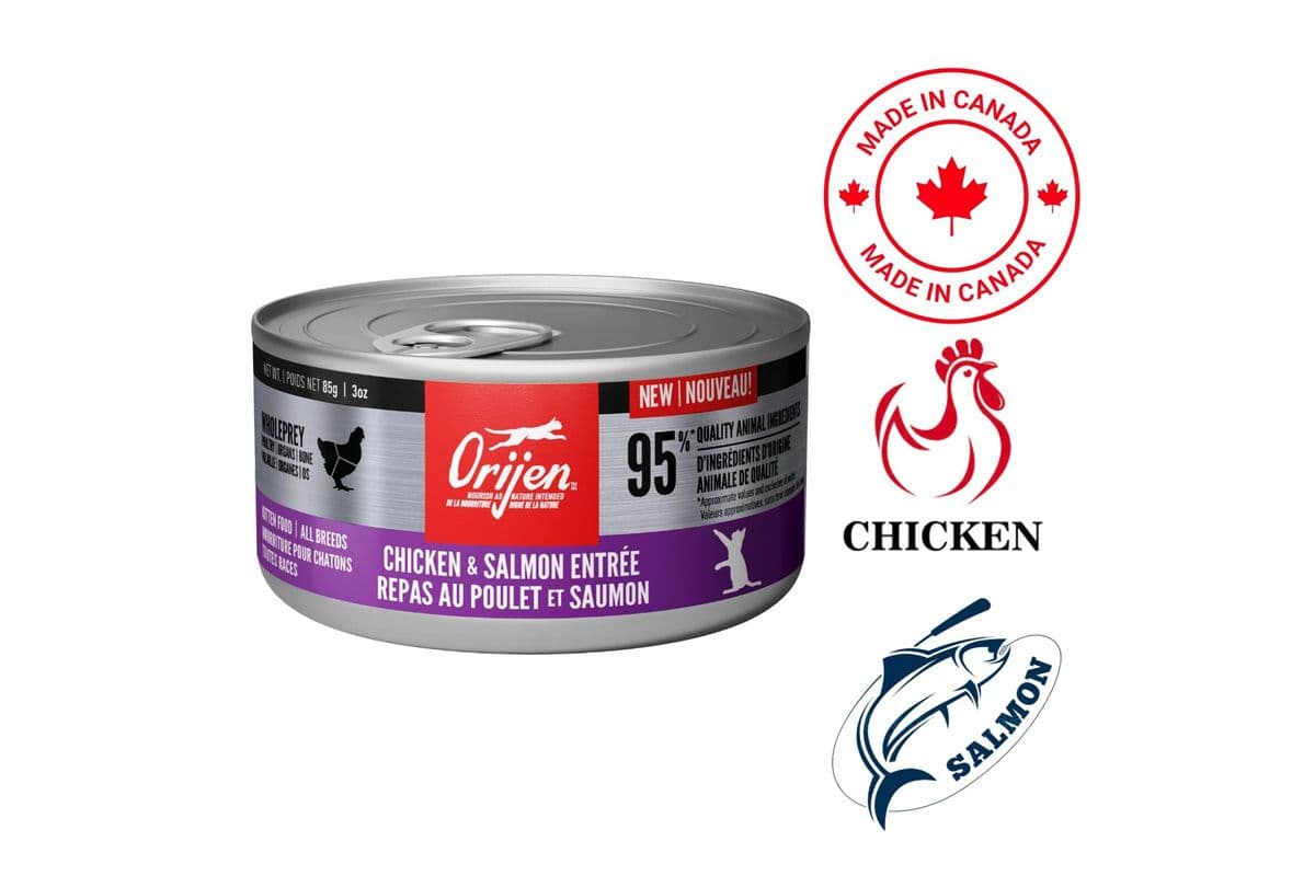 Orijen - Chicken & Salmon Entree Canned Cat Food (3 oz)