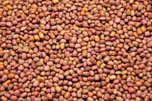 1000 Spices Red Chori (1 kg)