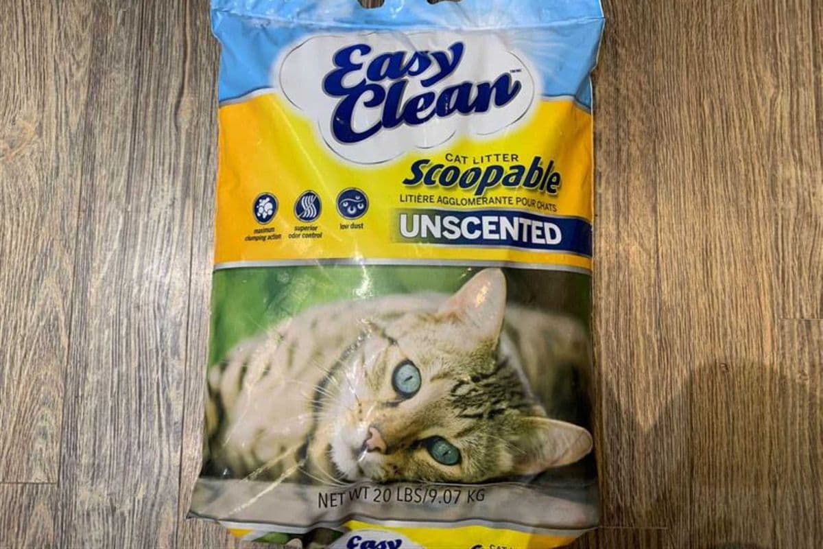 Cat Litter | Easy Clean | Unscented 20lb