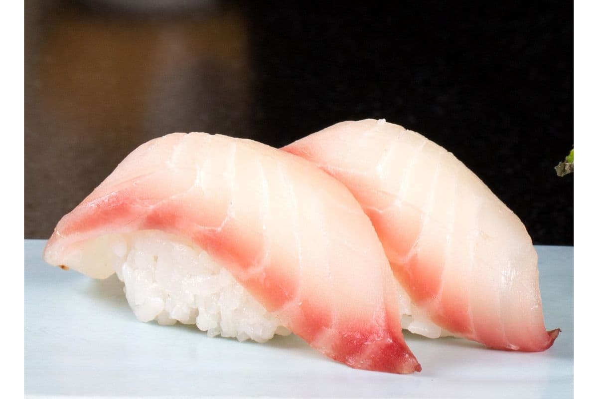 N6 Snapper (2 pcs)