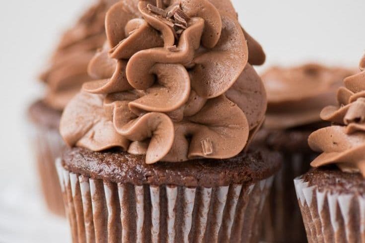 Vegan Double Chocolate Cupcake