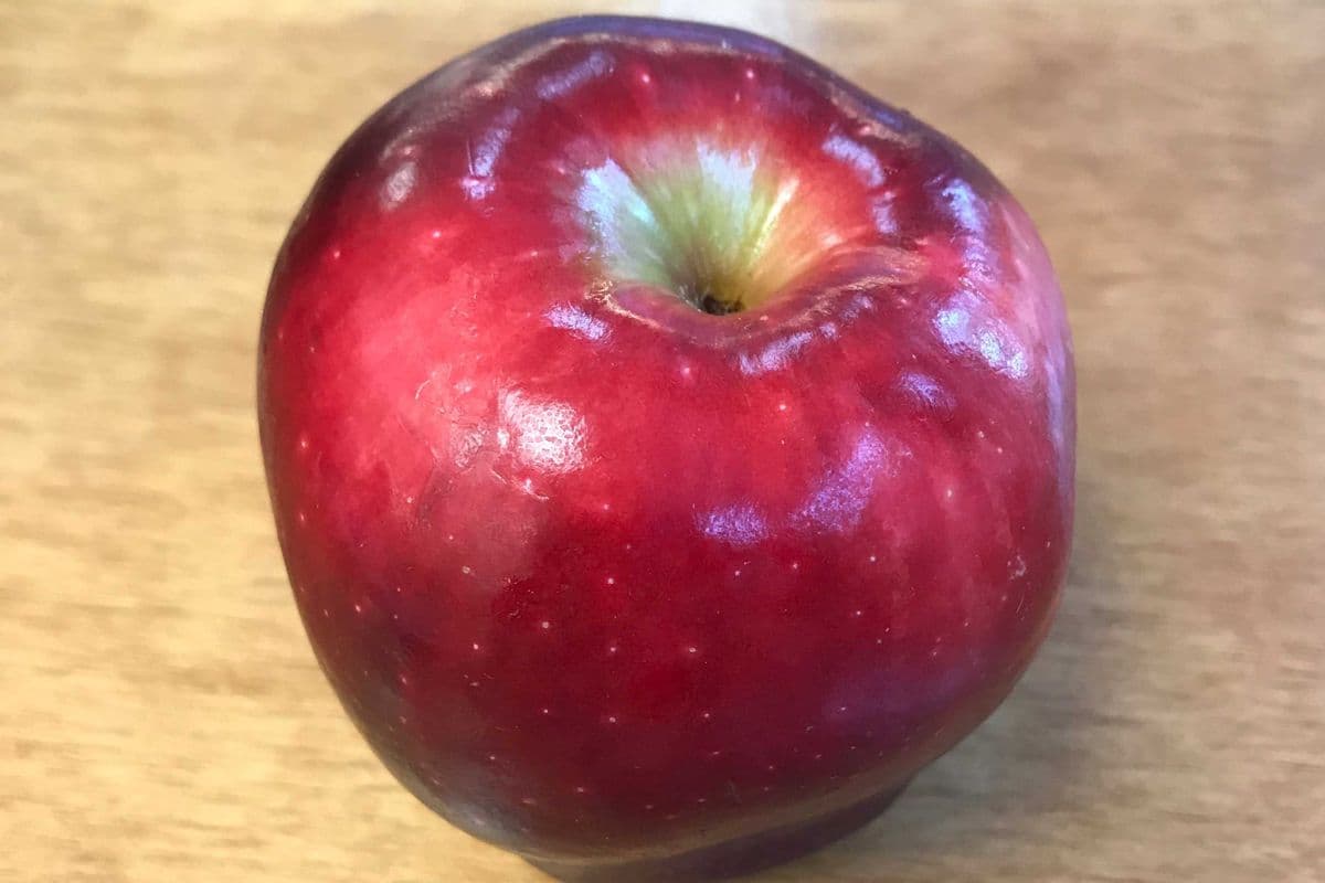 Pomme Rouge / Red Apple