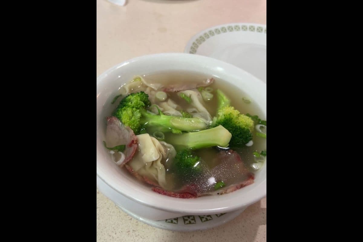 Wonton Soup