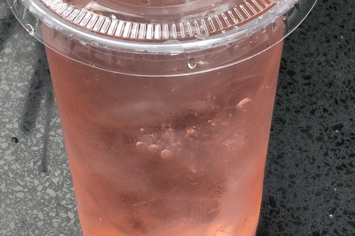 Watermelon Soda (Large)