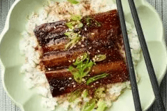 Unagi Donburi