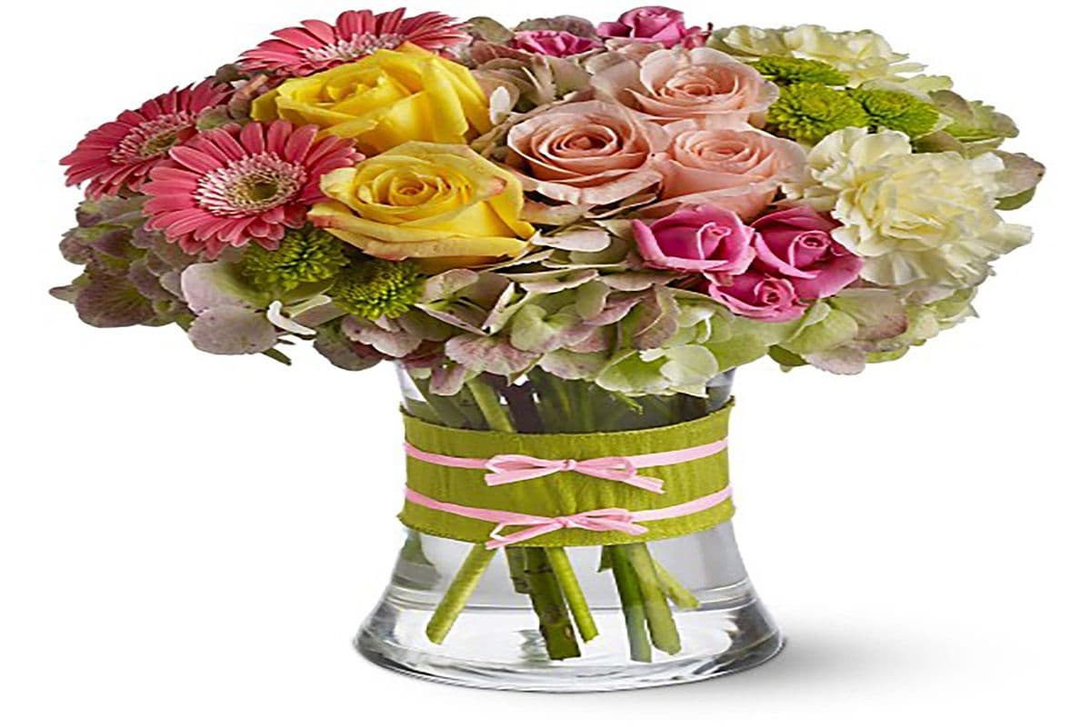 European - Fashionista Blooms - Most Popular