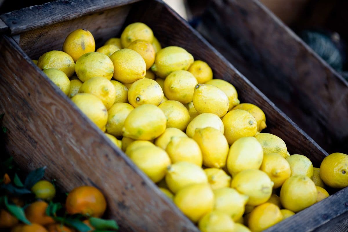 Lemon (236ml) (200 Cal)