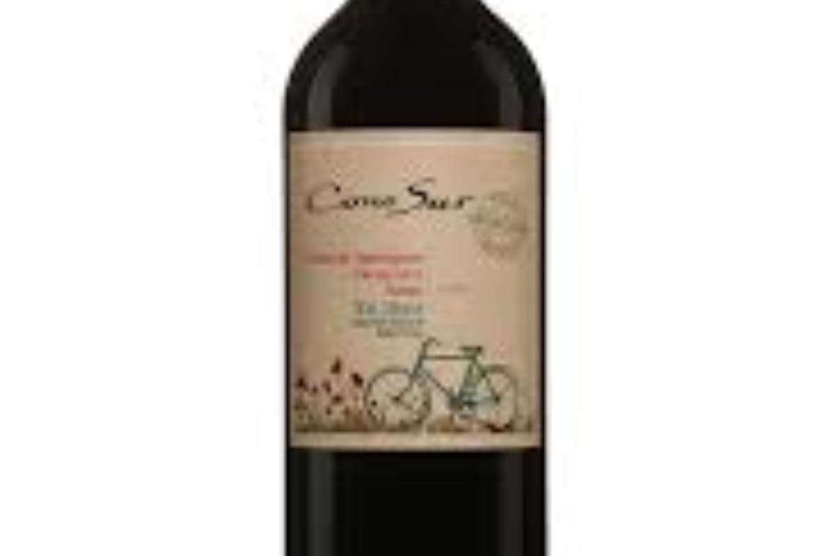 Cono Sur Organic Cabernet Blend (1 x 750Ml)