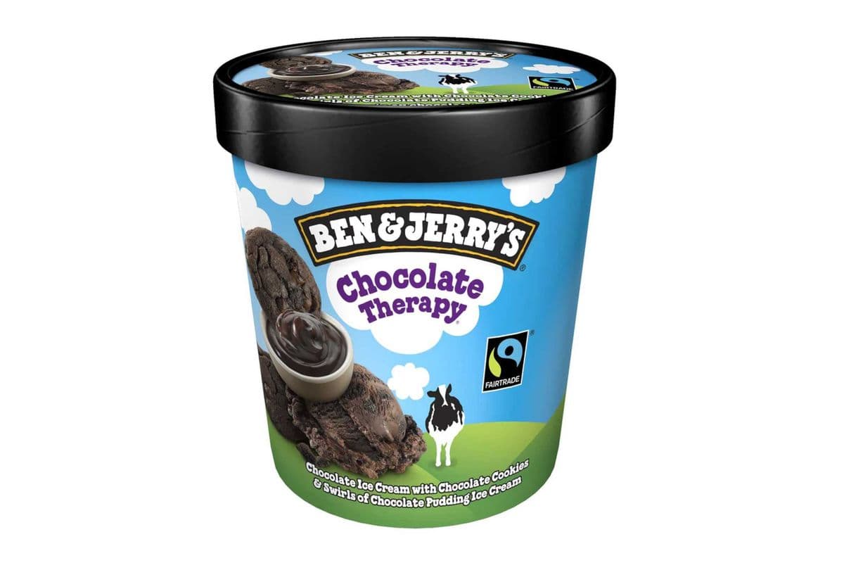 Ben and Jerry Chocolate Therapy Frozen Dessert