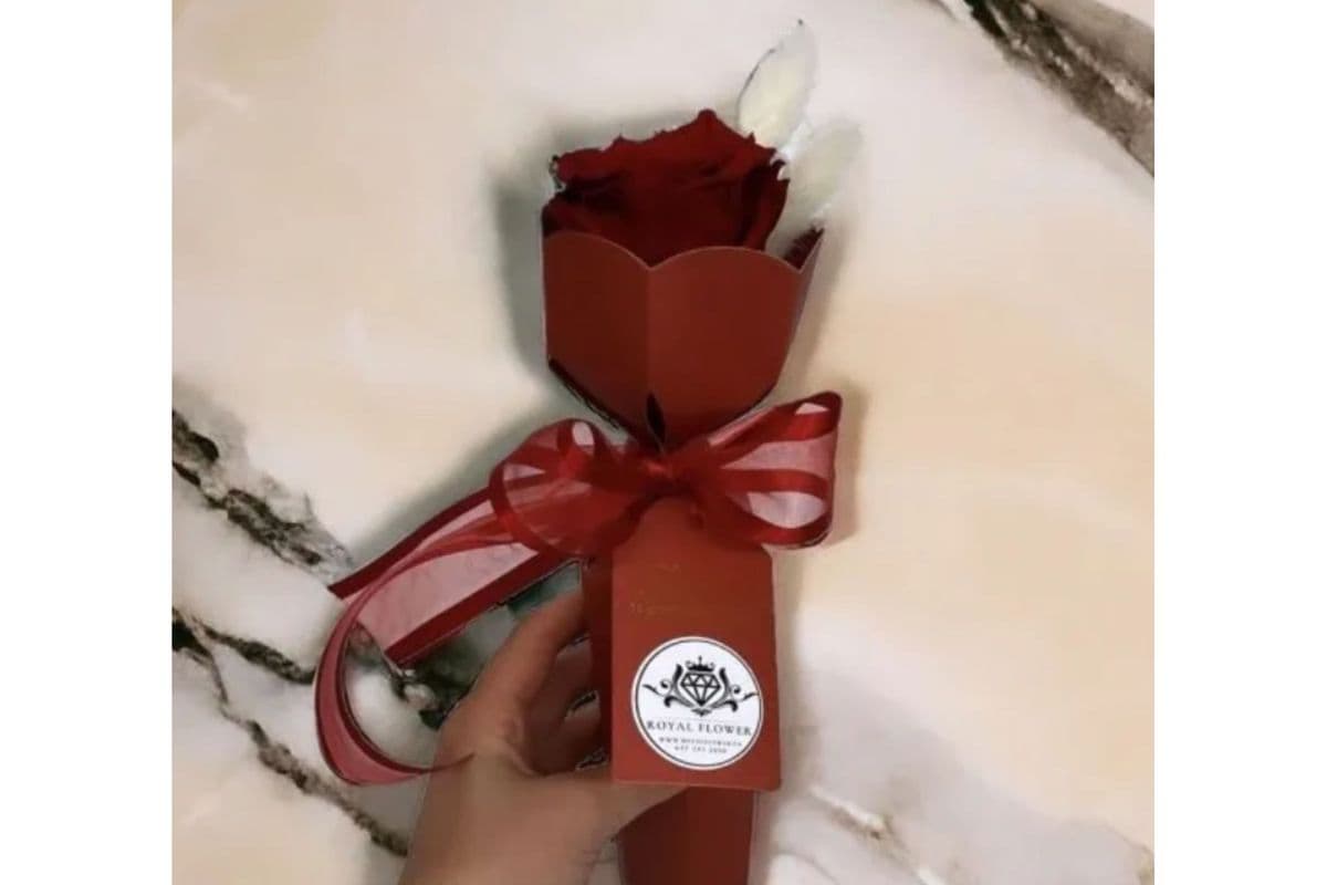 Rose Torch Collection – Rose lasts 10 days