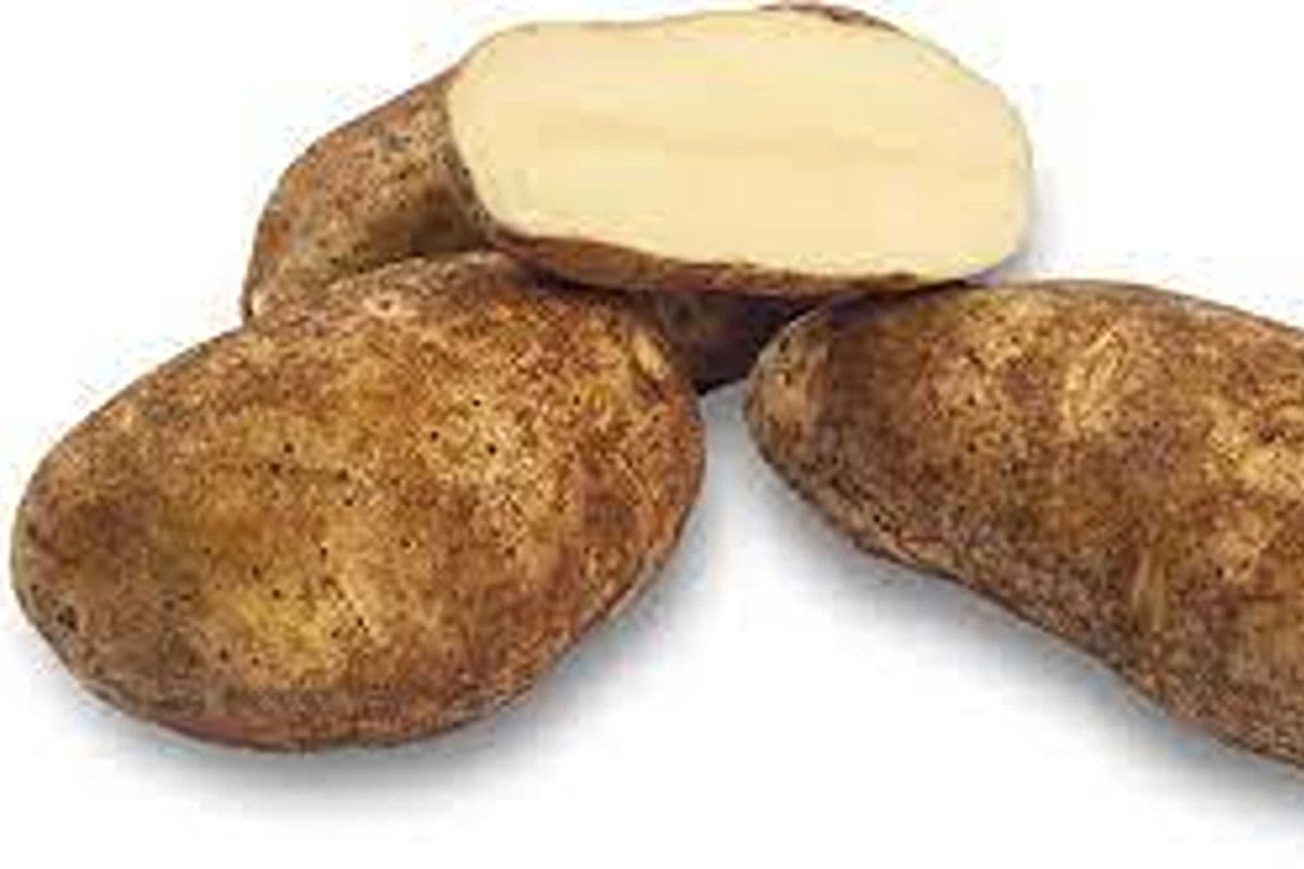 Patate russet (1kg) / Potato Russet (1kg)
